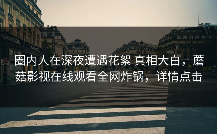 圈内人在深夜遭遇花絮 真相大白，蘑菇影视在线观看全网炸锅，详情点击