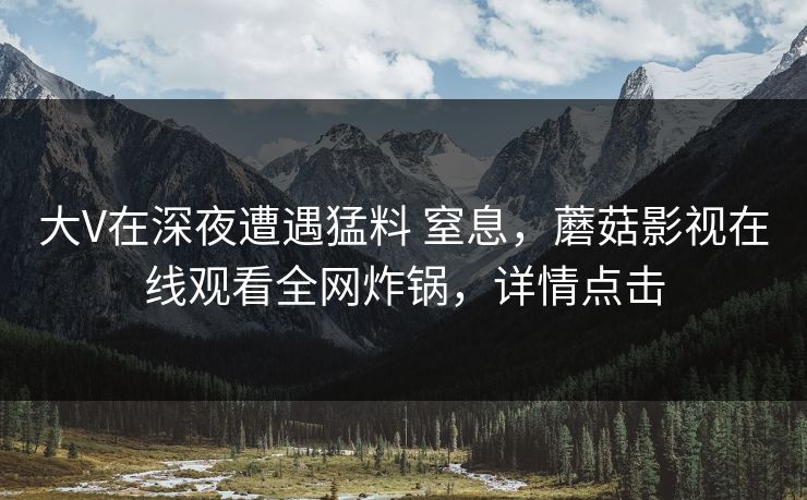 大V在深夜遭遇猛料 窒息，蘑菇影视在线观看全网炸锅，详情点击