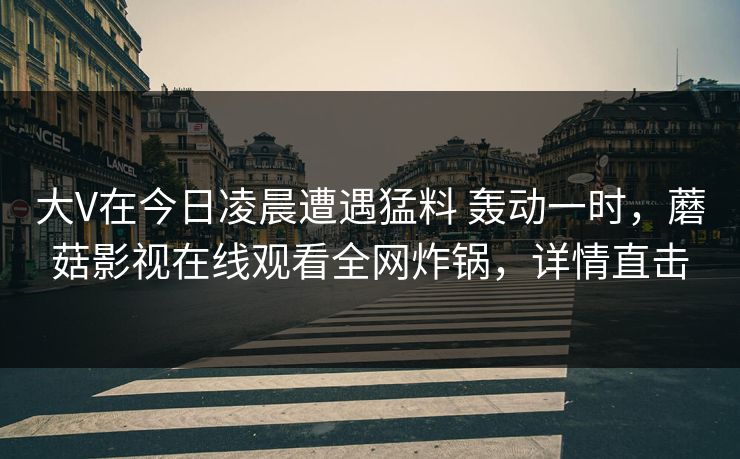 大V在今日凌晨遭遇猛料 轰动一时，蘑菇影视在线观看全网炸锅，详情直击