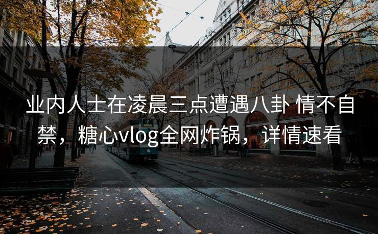 业内人士在凌晨三点遭遇八卦 情不自禁，糖心vlog全网炸锅，详情速看