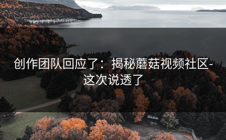 创作团队回应了：揭秘蘑菇视频社区-这次说透了