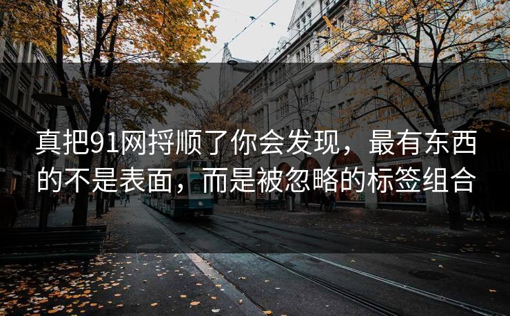 真把91网捋顺了你会发现，最有东西的不是表面，而是被忽略的标签组合