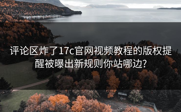 评论区炸了17c官网视频教程的版权提醒被曝出新规则你站哪边?